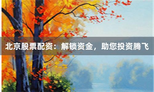 北京股票配资:解锁资金,助您投资腾飞