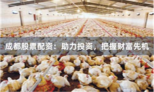 成都股票配资:助力投资,把握财富先机