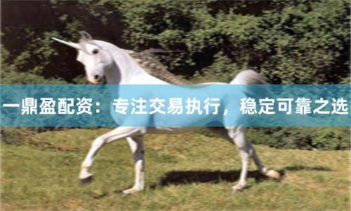 一鼎盈配资:专注交易执行,稳定可靠之选