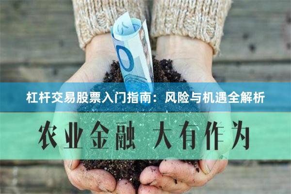 杠杆交易股票入门指南：风险与机遇全解析