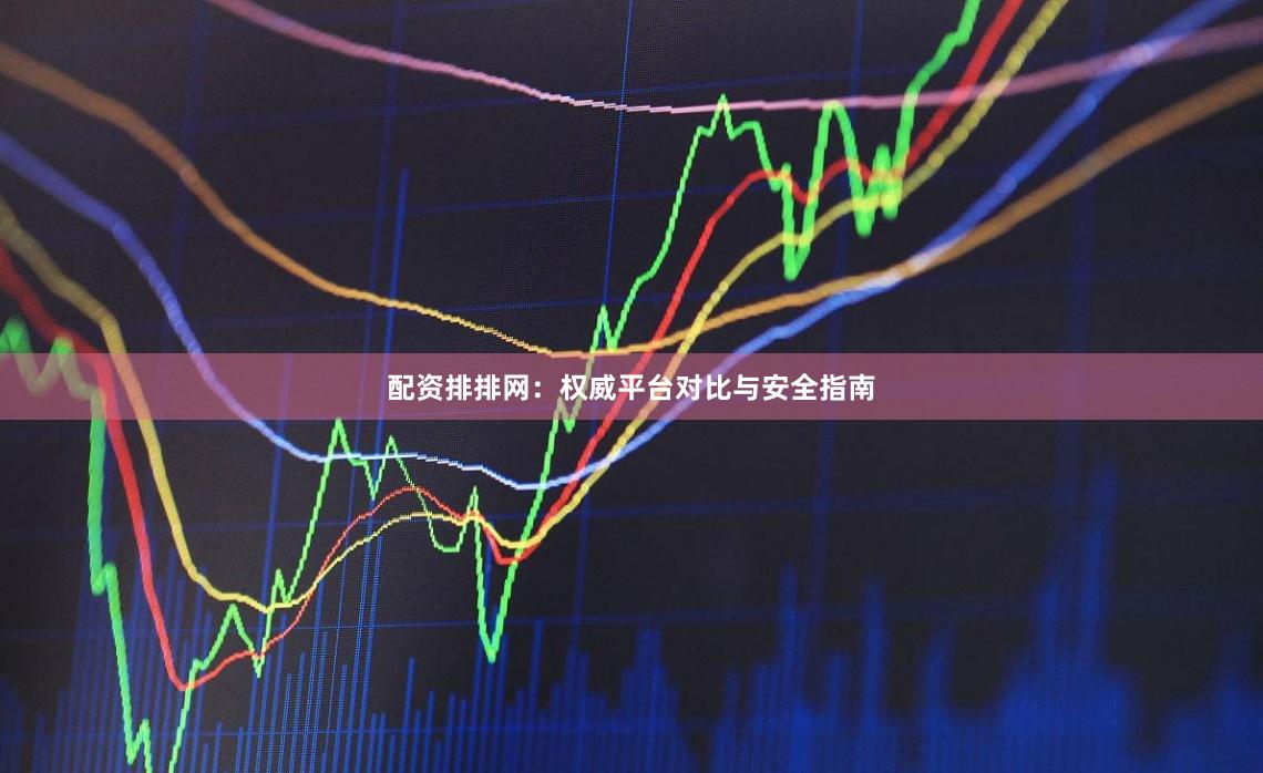 配资排排网:权威平台对比与安全指南